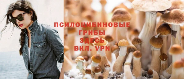 соль курить ск Алзамай