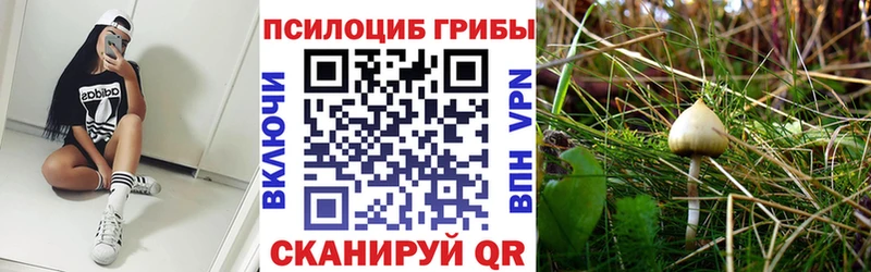 Галлюциногенные грибы Psilocybine cubensis  Чухлома 